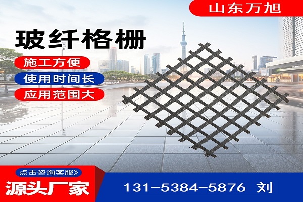 黔西南布依族苗族自治州蜂巢约束系统玻纤格栅 - 厂家